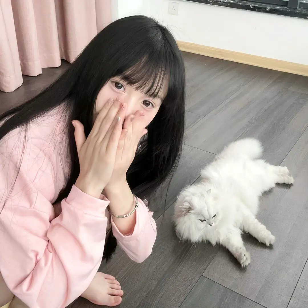 桂宝之爆笑闯宇宙